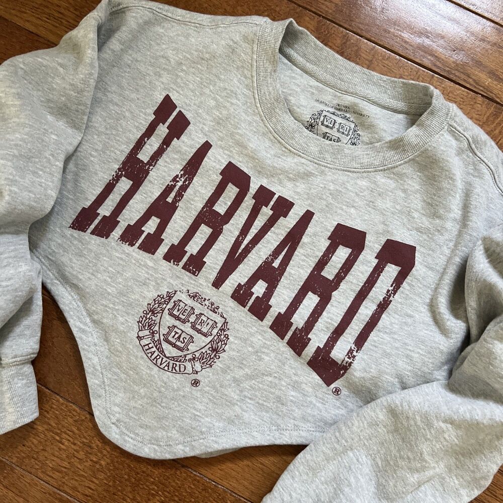 Harvard Cropped Sweatshirt Womens Medium Gray Spell Out Raw Hem Y2K Academia